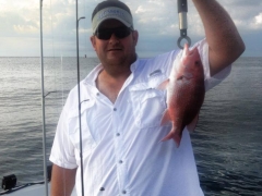Red Snapper 18
