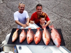 Red Snapper 20