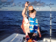 Red Snapper 24