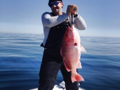 Red Snapper 30