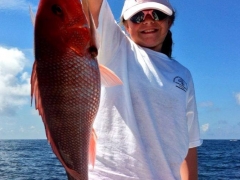 Red Snapper 12
