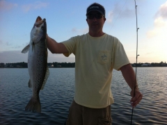 speckled trout 2