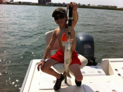 speckled trout 3