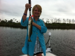 speckled trout 5
