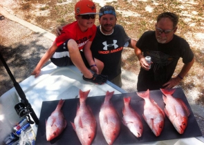 Red Snapper 16